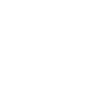 Vintage Custom Class