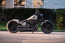 Harley-Davidson Fat Boy 2022
